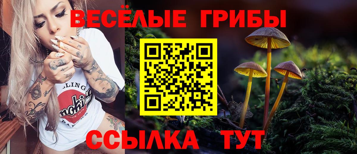 Галлюциногенные грибы ЛСД Ржев