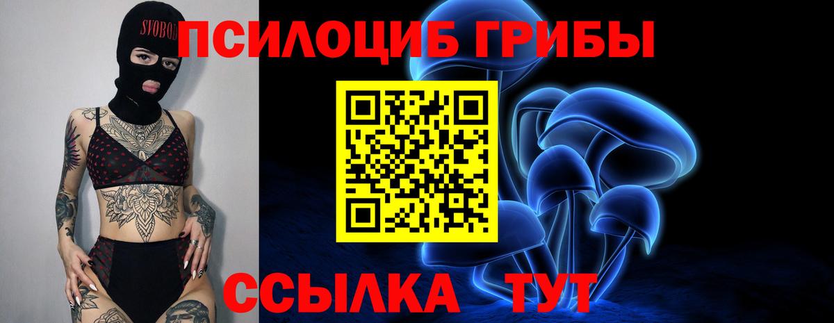 Ржев  Галлюциногенные грибы MAGIC MUSHROOMS  Вход с VPN 